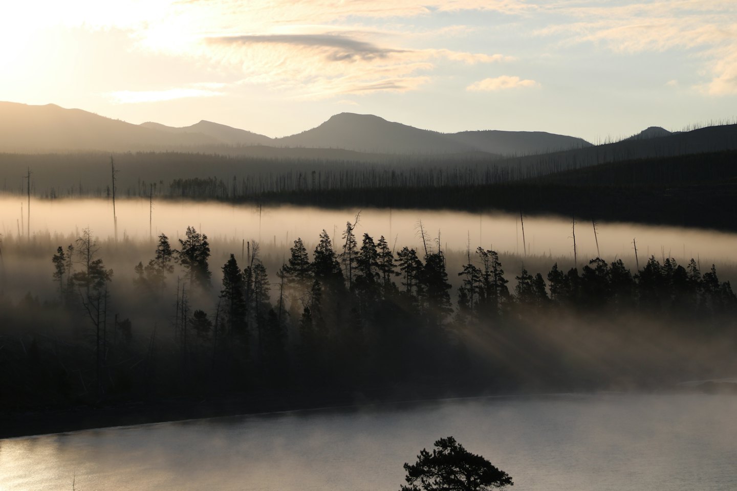 Mist rises over a quiet lake bordered by pine trees.